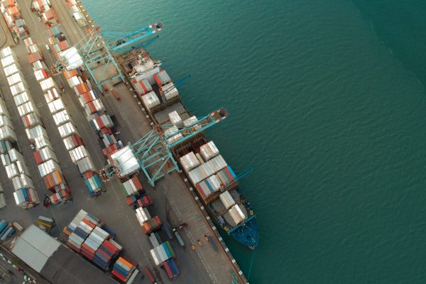 pexels-rafael-de-campos-4256976