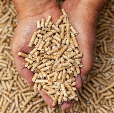 Alternative biofuel from sawdust wood pellets in hands.